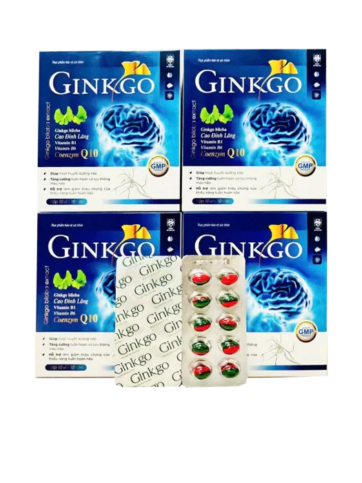 Ginkgo Biloba Extract Coenzym Q10 Hộp 100 Viên
